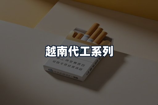 越南代工系列